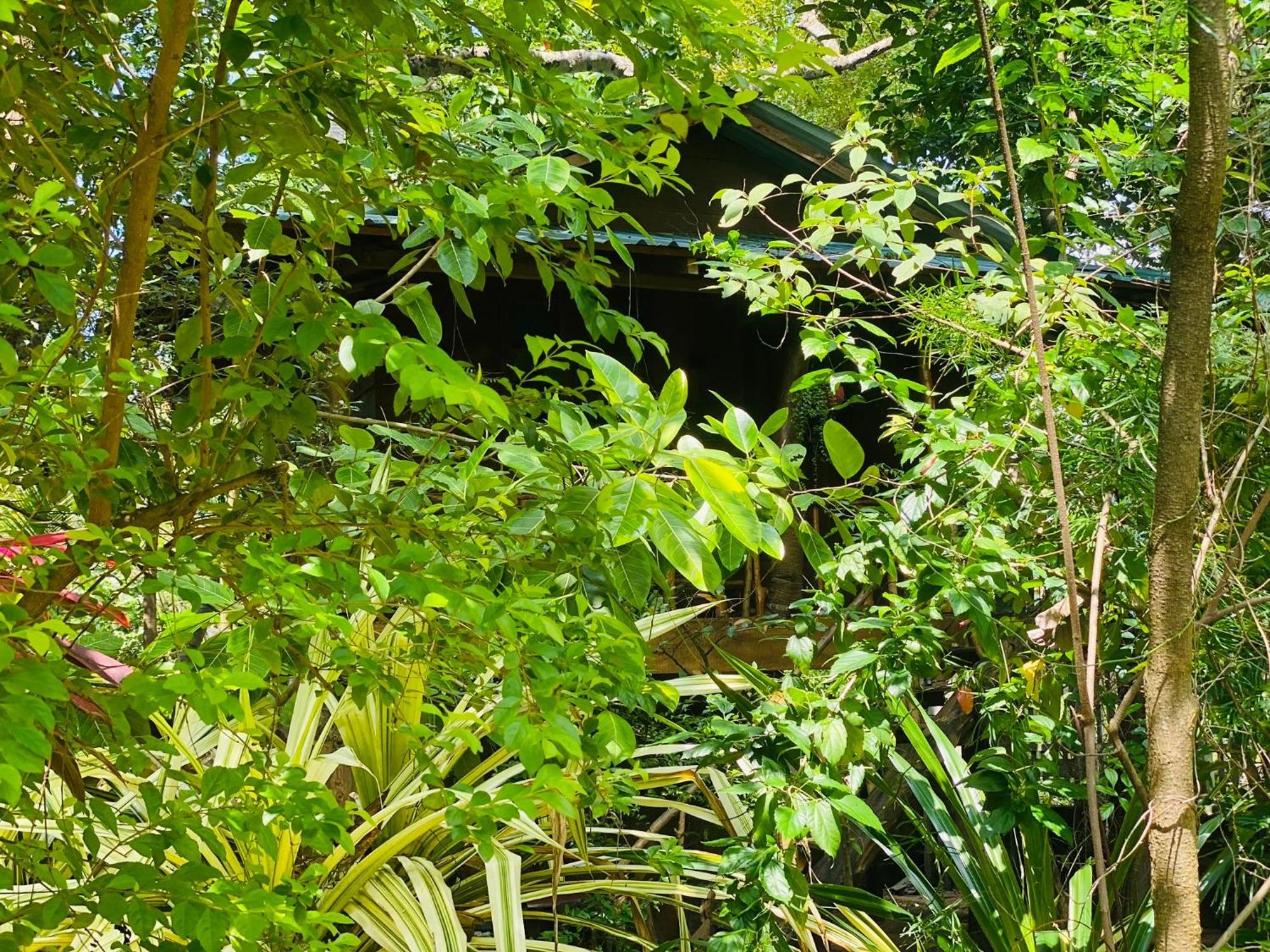 Girilena Resort Dambulla Eksteriør billede
